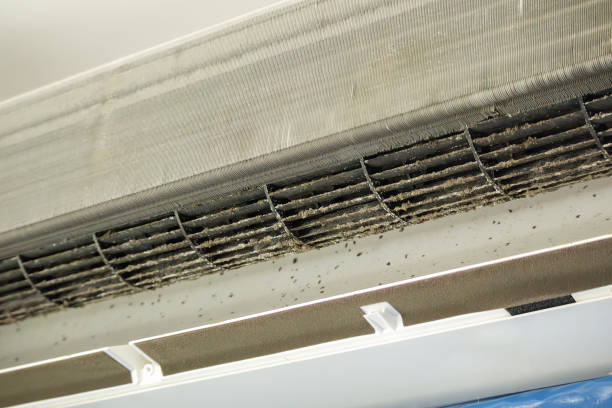 Best Residential Air Duct Cleaning  in Lakesite, TN