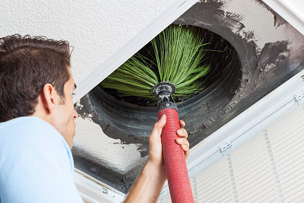 Best Best Air Duct Cleaning Company  in Lakesite, TN