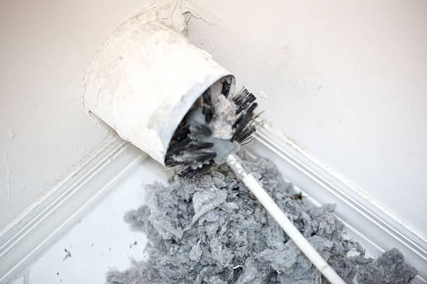 Air Duct Mold Removal in Lakesite, TN